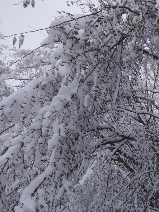 B&B Eguzkitza Elgeta Zewnętrze zdjęcie